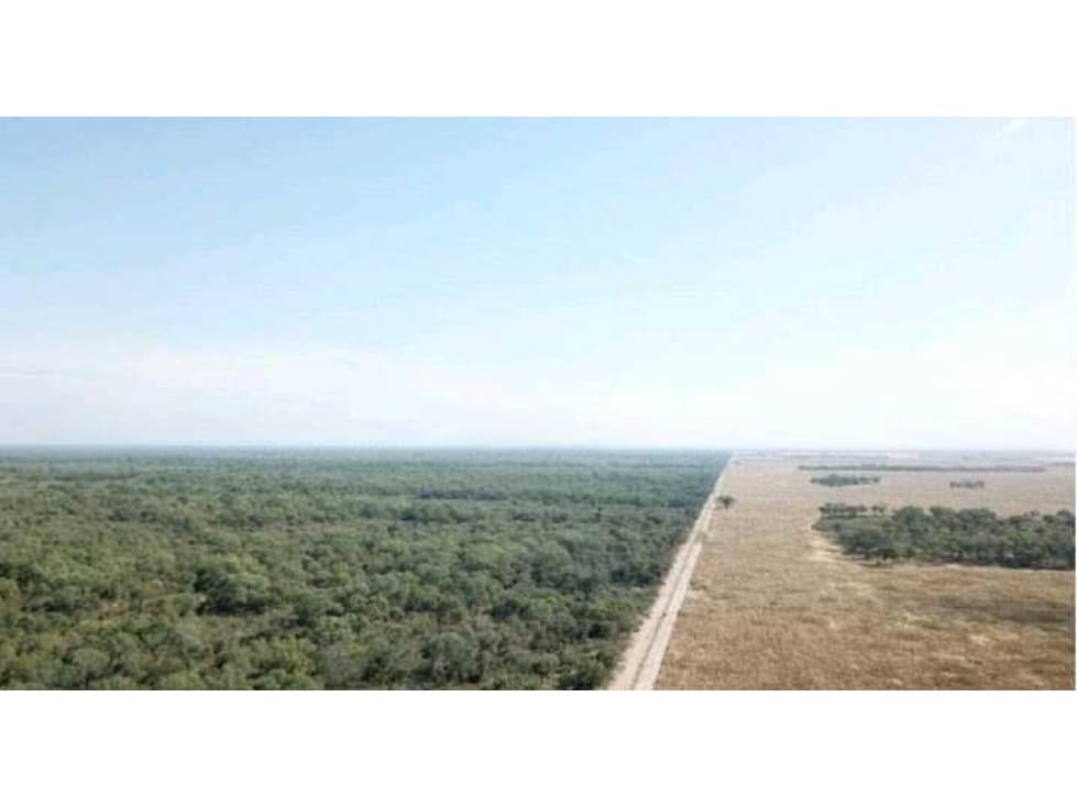 CAMPO 21000 HECTAREAS, MIXTO, SIMBOL, SANTIAGO DEL ESTERO, ARGENTINA - 1