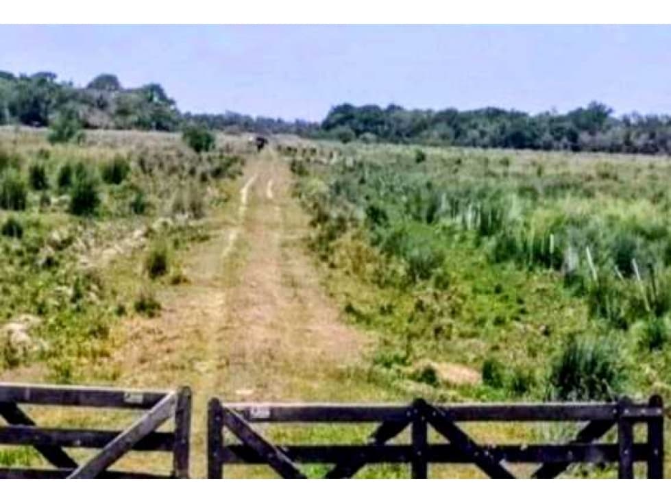 CAMPO 41539 HAS, MIXTO, ITUZAINGO, CORRIENTES, ARGENTINA - 1