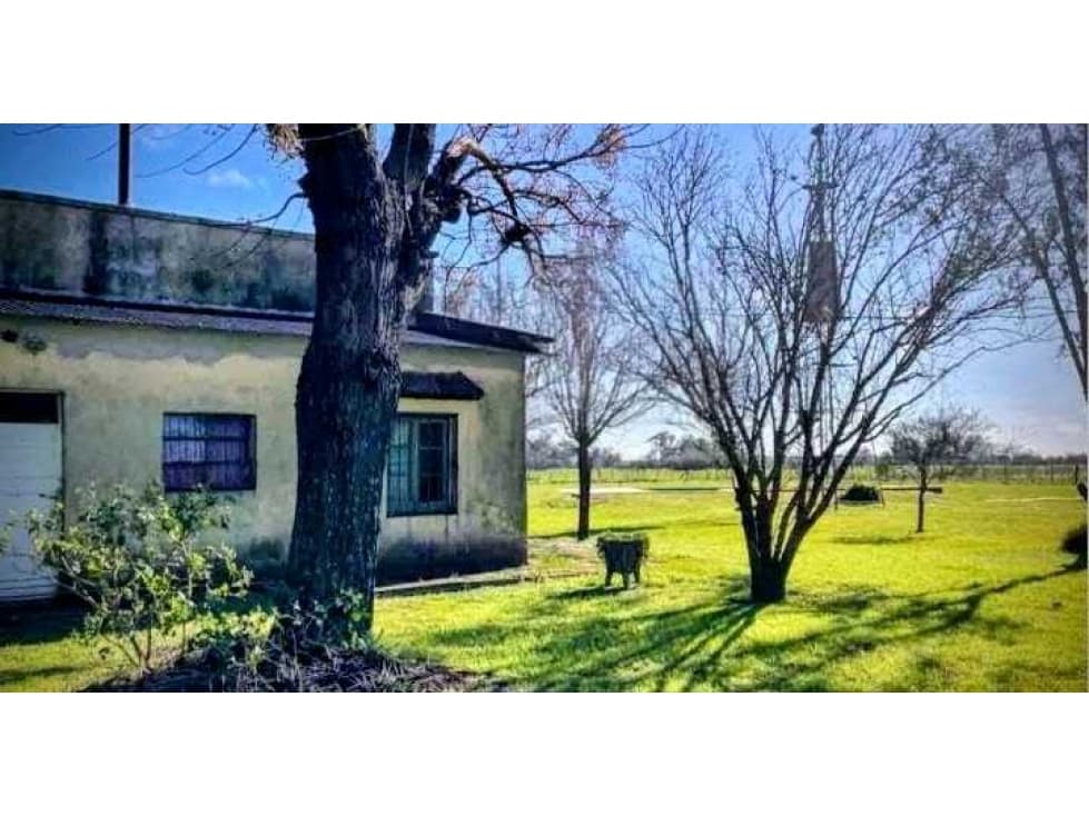 CAMPO 45 HAS AGRICOLAS, LOBOS, BUENOS AIRES, ARGENTINA - 1