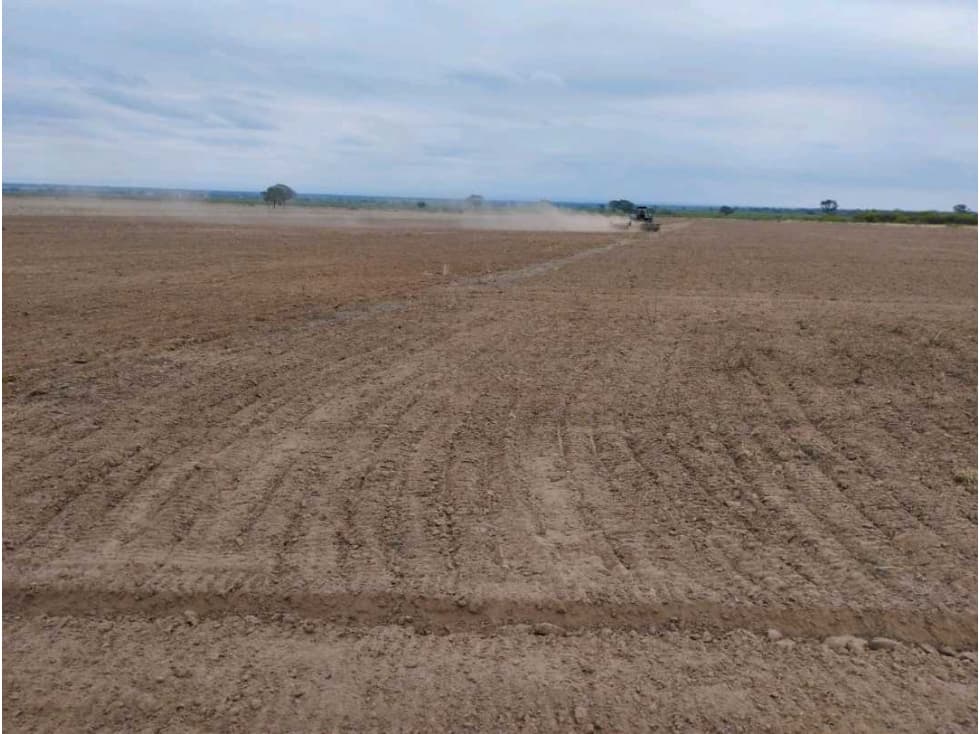 CAMPO 680 HECTAREAS,CHOYA, SANTIAGO DEL ESTERO, ARGENTINA - 1