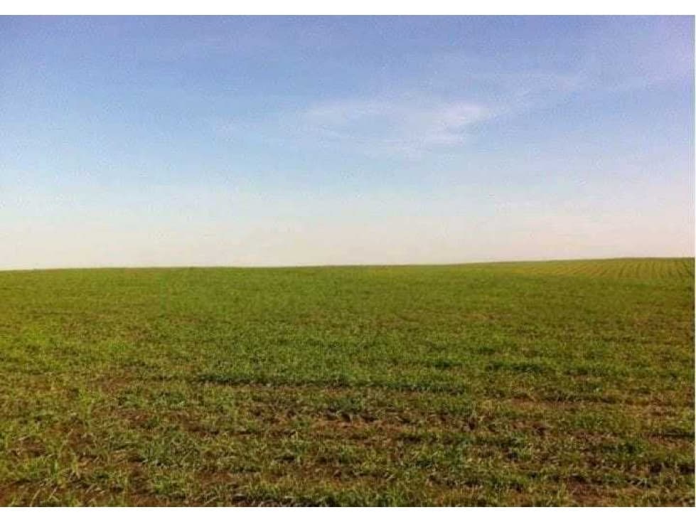 CAMPO 700 HECTAREAS MIXTAS, LAS ARRIAS, CORDOBA, ARGENTINA - 1