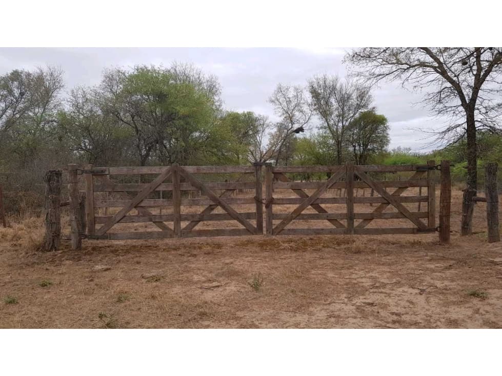 CAMPO 734 HECTAREAS, GANADERO, LORETO, SANTIAGO DEL ESTERO, ARGENTINA - 1