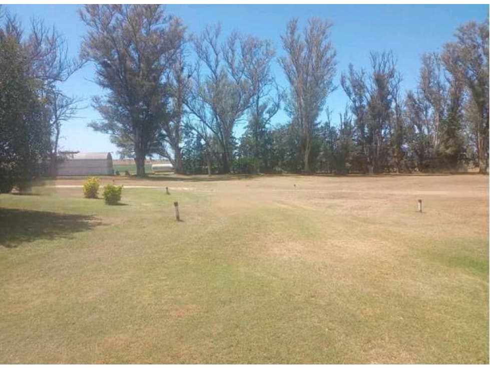 CAMPO 935 HAS MIXTO, NOGOYA, PCIA.ENTRE RIOS, ARGENTINA - 1