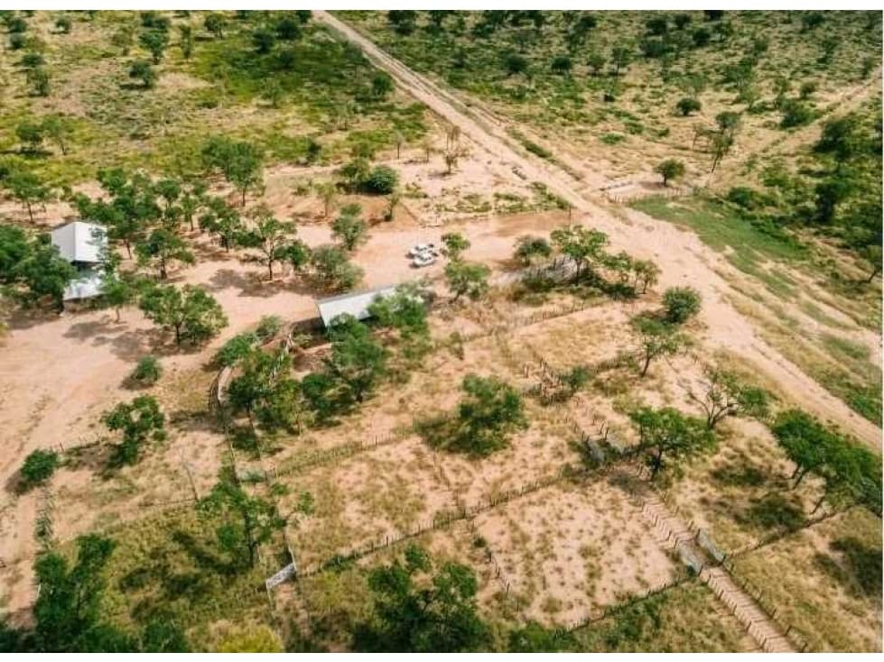 CAMPO 9391 HECTAREAS, MIXTO, SANTIAGO DEL ESTERO, ARGENTINA - 1