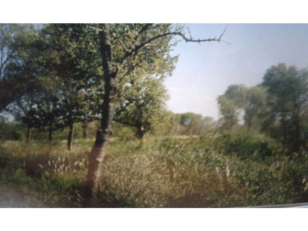 CAMPO 690 HAS, GANADERAS, OJO DE AGUA, STGO.DEL ESTERO, ARGENTINA - 1