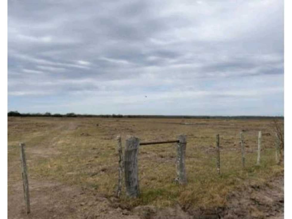 CAMPO DE 115 HAS MIXTO, SAN SALVADOR, ENTRE RIOS, ARGENTINA - 1