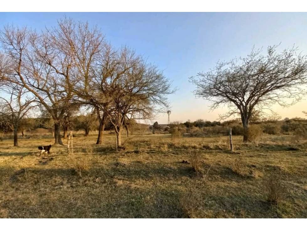 CAMPO EN UBAJAY, COLON, ENTRE RIOS, ARGENTINA - 1