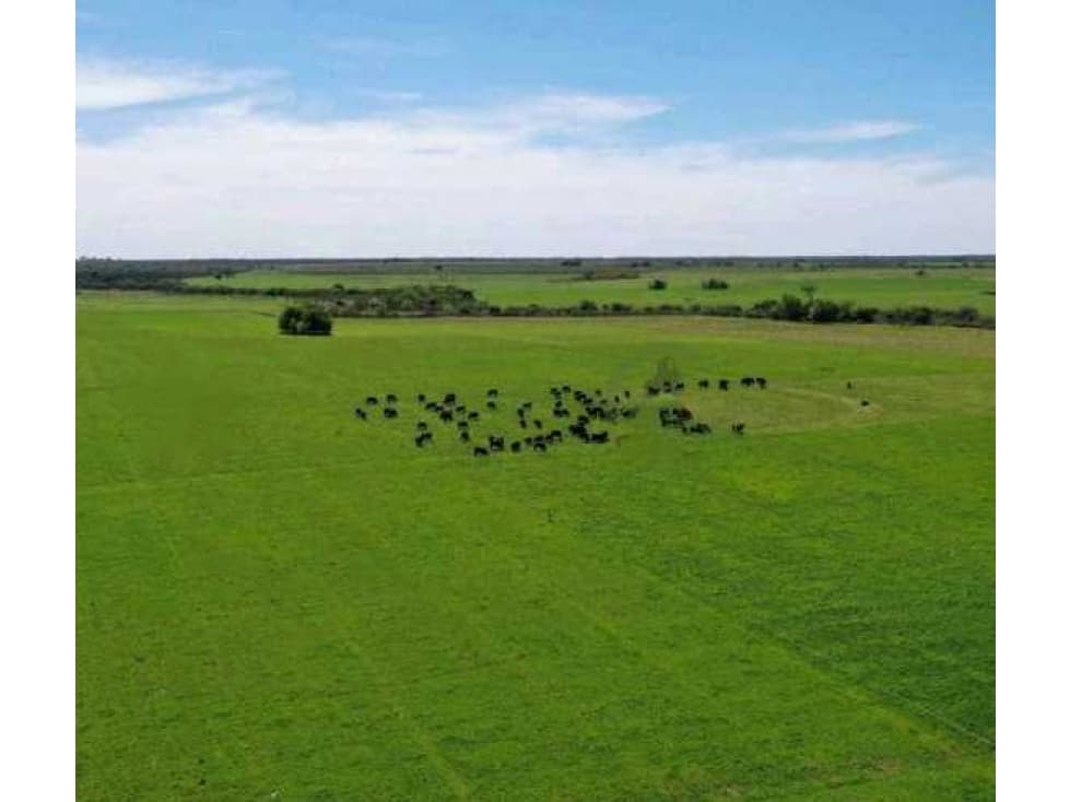 CAMPO MIXTO DE 2658 HAS, LA PAZ, ENTRE RIOS, ARGENTINA - 1