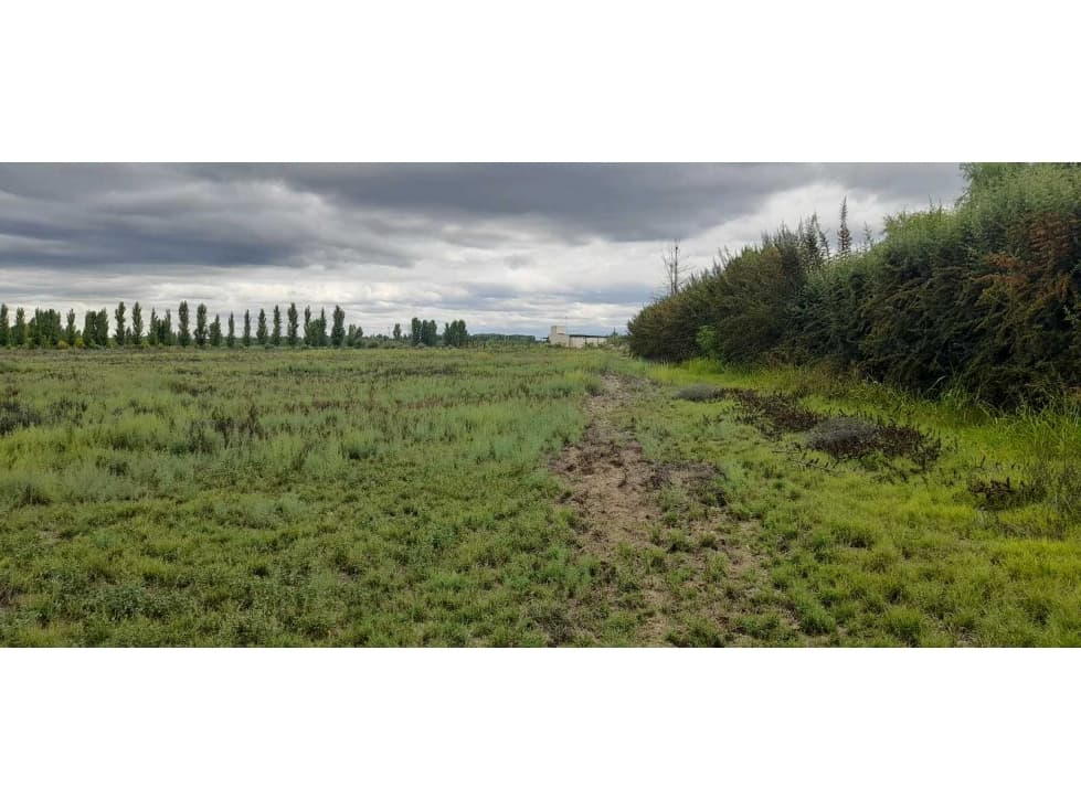 Exclusiva finca en venta |8 hectáreas |calle el Álamo Tupungato - 1