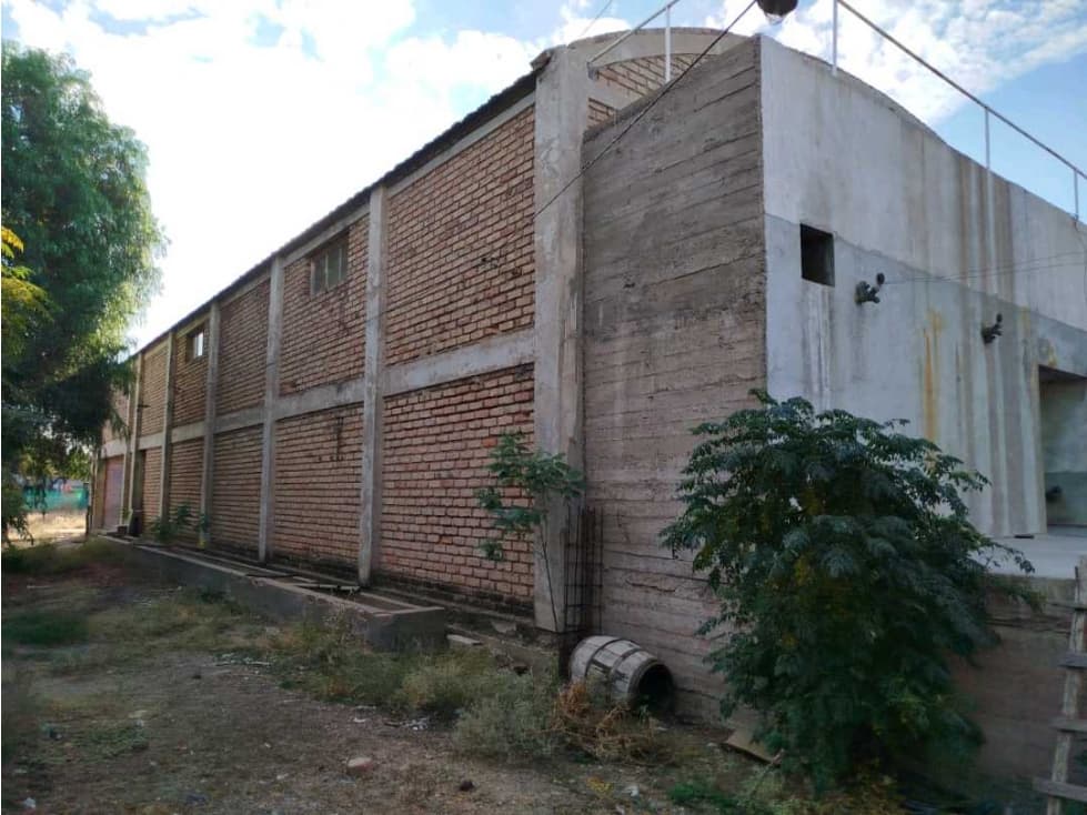 VENTA DE FINCA 34 HAS CON BODEGA- PHILLIPS , JUNIN, MZA - 1