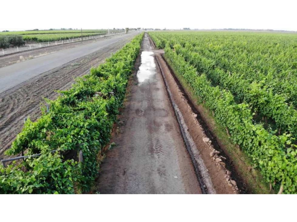 VENTA DE HERMOSA FINCA 25 HAS EN LOS ÁLAMOS- MAIPÚ. - 1