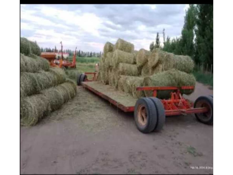 FINCA DE 36 HAS, MENDOZA, ARGENTINA - 1