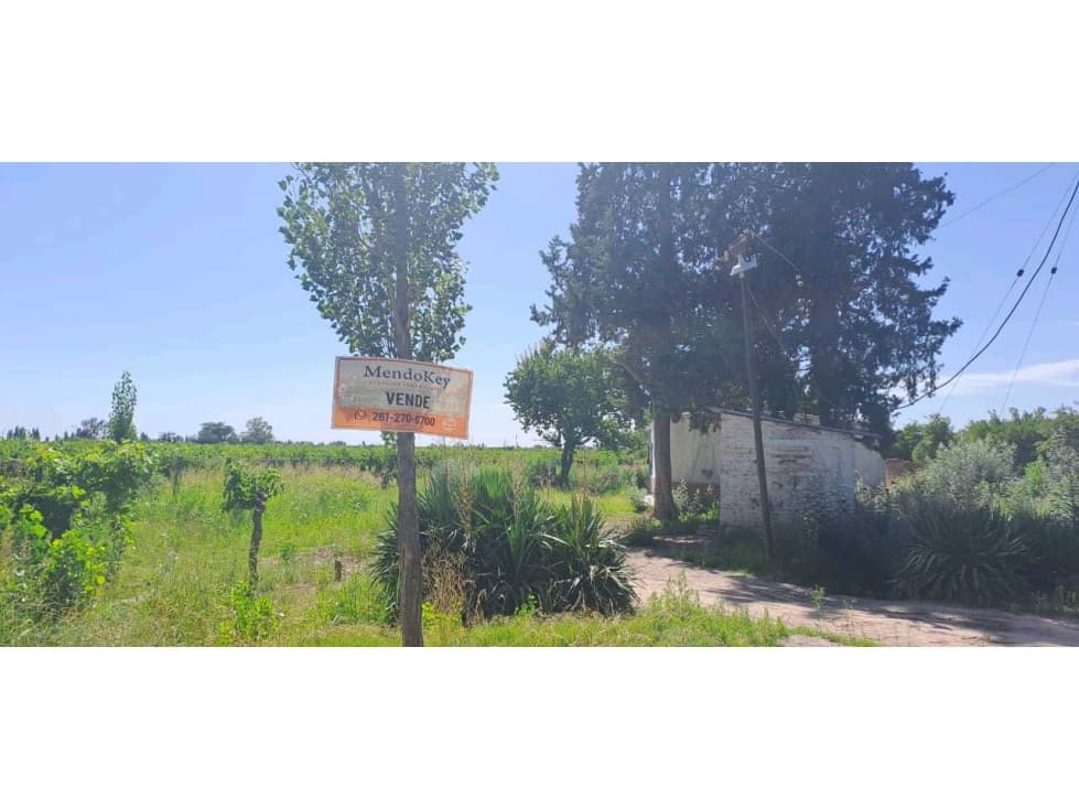 VENTA DE FINCA 18 HAS- LOS CAMPAMENTOS, RIVADAVIA - 1