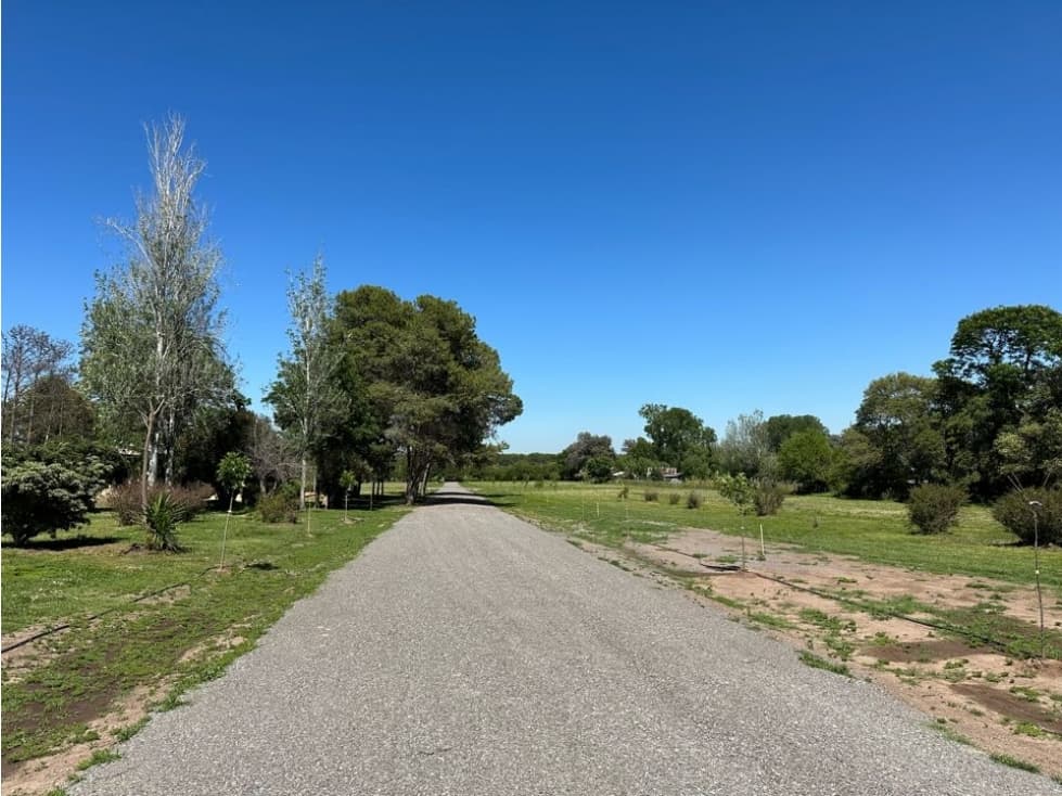 HERMOSO LOTEO LOS CEREZOS DE OPEN DOOR - 1