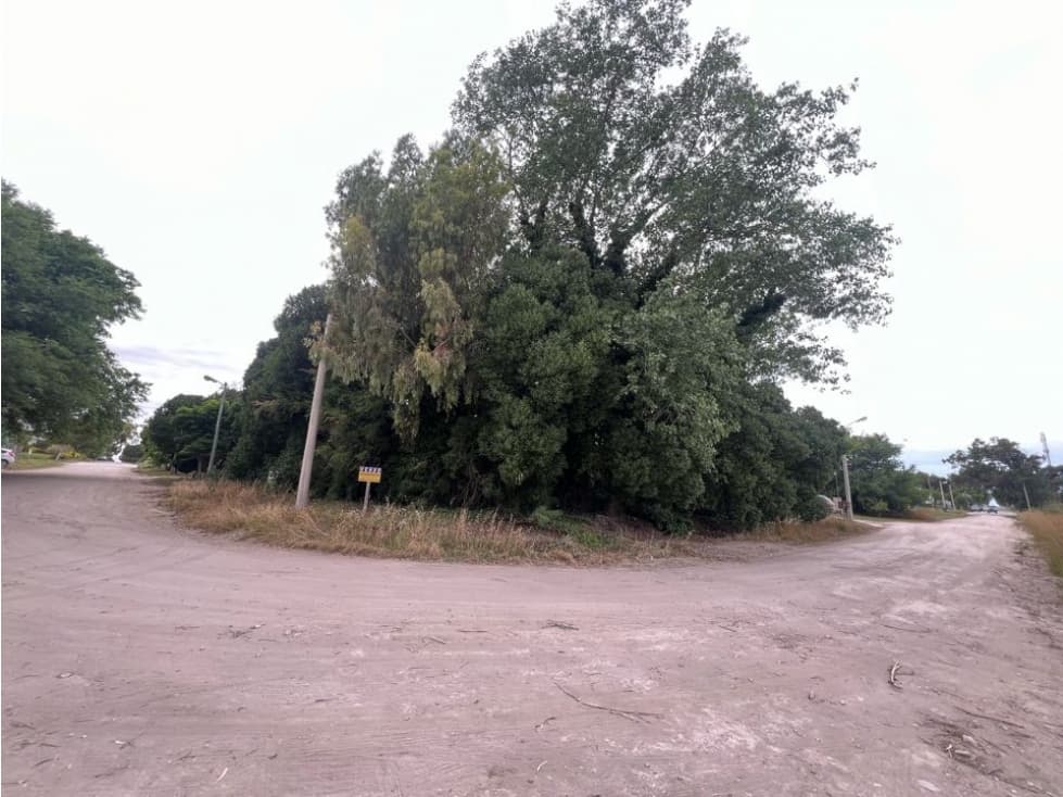 LOTAZO frente al arroyo y al Naútico! - 1