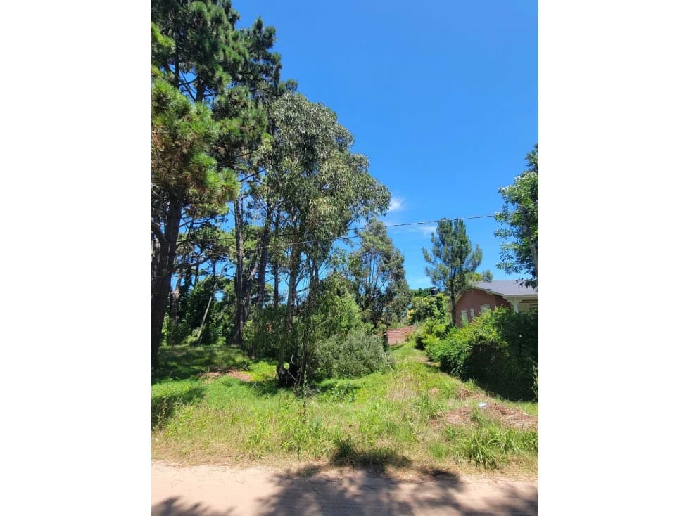 LOTE EN VENTA VALERIA DEL MAR SEGUÍ Y BALBOA - 1