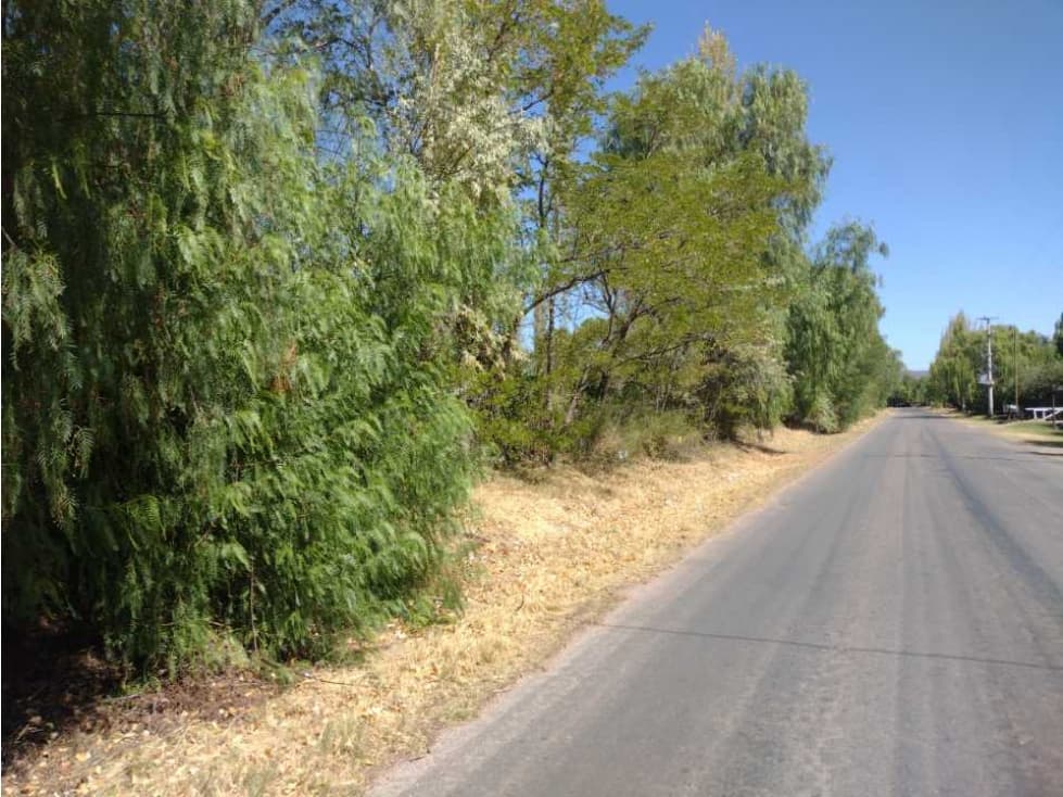 LOTE, TERRENO, FINCA RAMA CAIDA SAN RAFAEL - 1