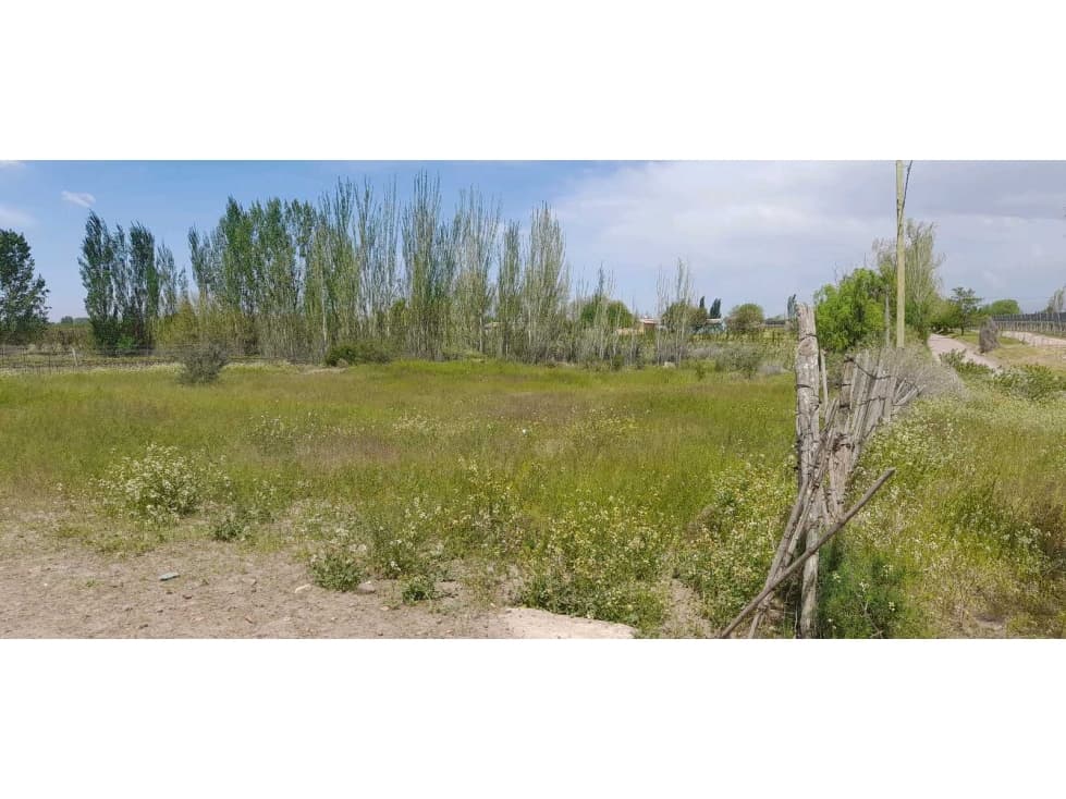 Oportunidad única excelente terreno en venta ubicado en Vista Flores - 1
