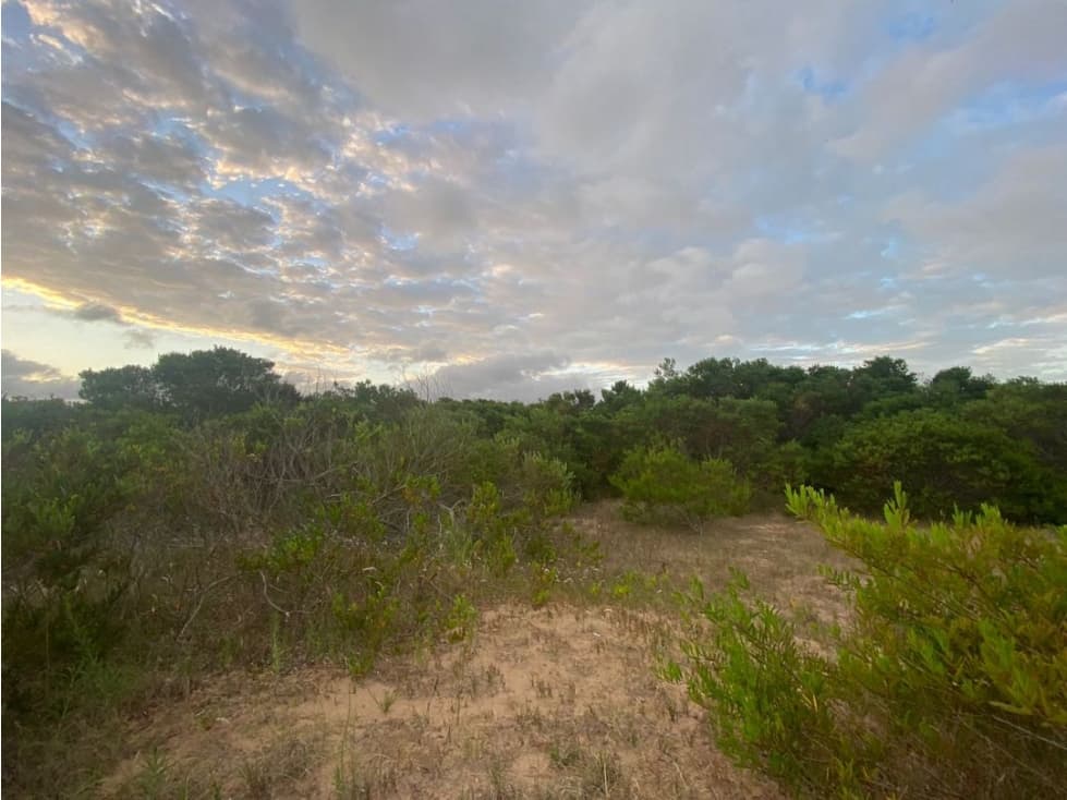 SENDEROS IV 424 -COSTA ESMERALDA - LOTE EN VENTA - 1