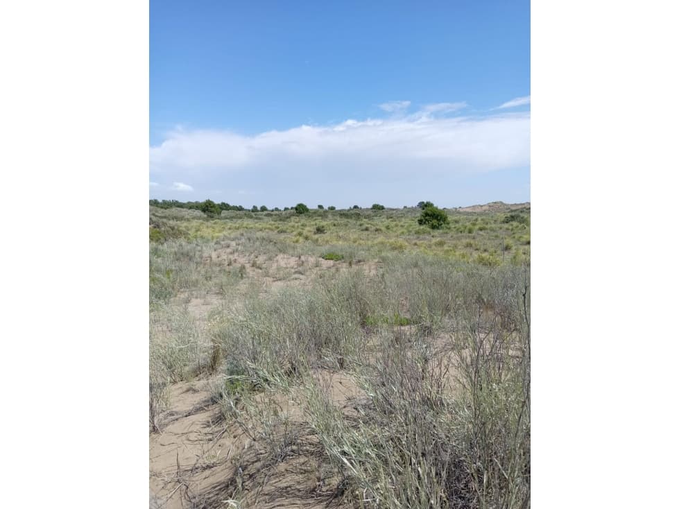 Terreno en venta en PLAYA SERENA - MONTE HERMOSO - CALLE SAN CLEMENTE - 1