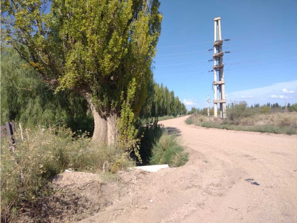 Terreno para loteo San Rafael Mendoza - 1