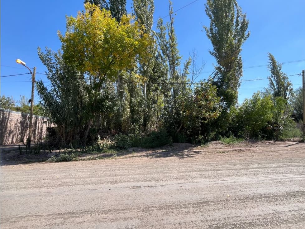 Vendemos Lote 3950 m, Calle Lamadrid, El Resguardo, Las Heras. - 1