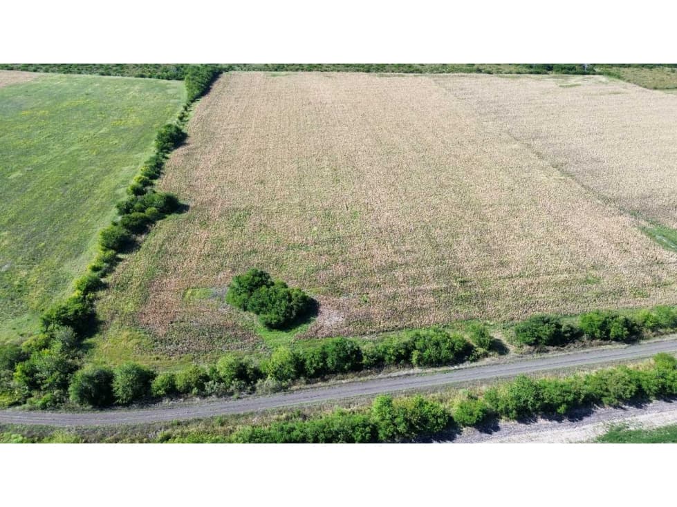 Vendo Campo 22 Has en Colonia Los Ceibos Entre Ríos - 1