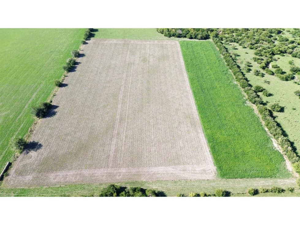 Vendo Campo de 14 Hectáreas en Pronunciamiento, Entre Ríos. - 1