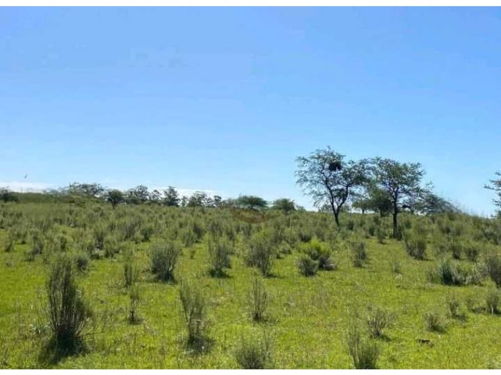 VENTA CAMPO 91 HAS MIXTAS, ENTRE RIOS, PCIA BUENOS AIRES, ARGENTINA - 1