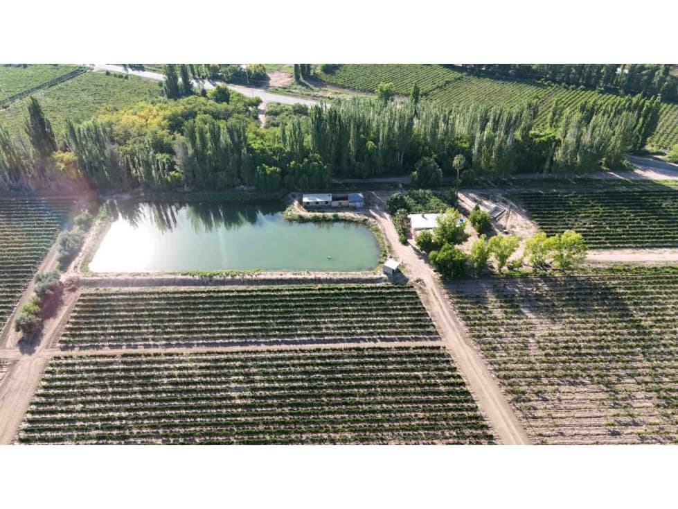 VENTA DE EXCELENTE FINCA 30 HAS EN LOS BARRIALES JUNIN - 1