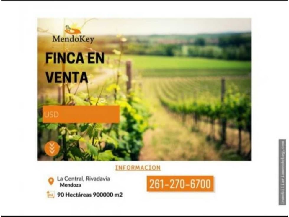 VENTA DE EXCELENTE FINCA 90 HAS EN LA CENTRAL, RIVADAVIA, MENDOZA. - 1