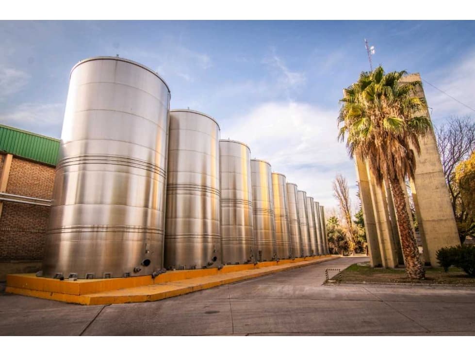 VENTA DE EXCLUSIVA BODEGA EN PRODUCIÓN- SAN MARTIN, MENDOZA - 1