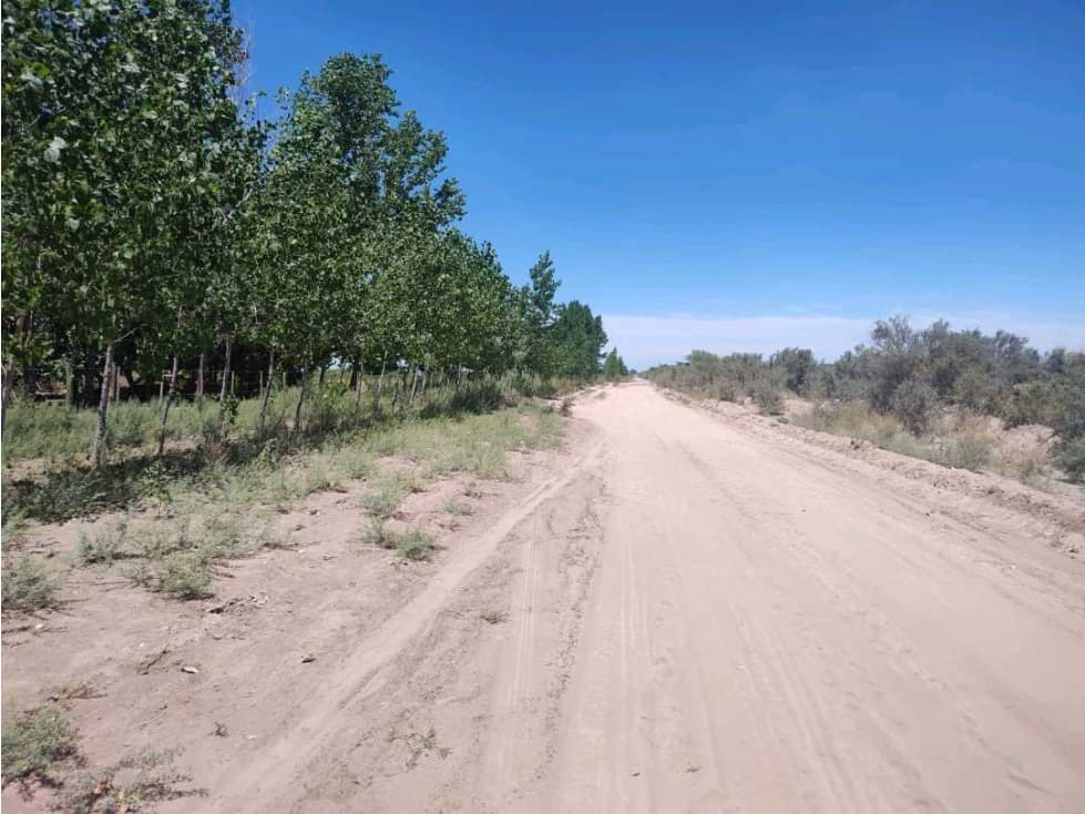 VENTA DE CAMPO 104 HAS EN 12 DE OCTUBRE- SANTA ROSA. - 1