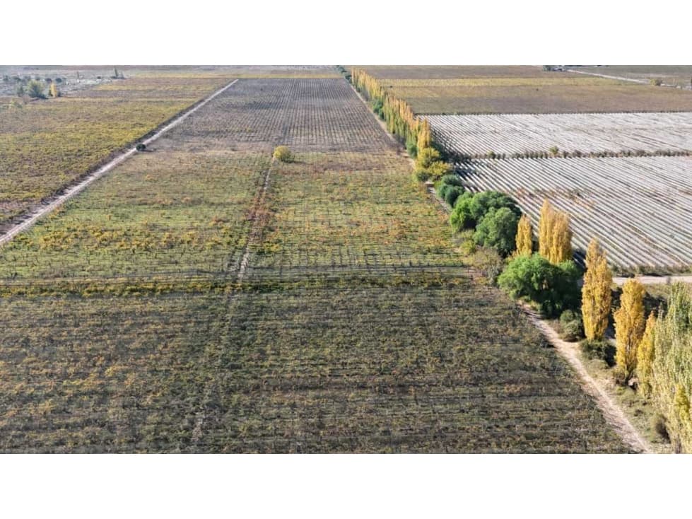 VENTA DE FINCA 15 HAS EN CALLE LA FLORIDA, LOS CAMPAMENTOS- RIVADAVIA - 1