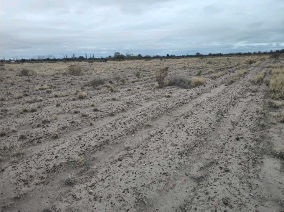 VENTA DE FINCA 21 HAS EN ALTO VERDE- JUNIN, MZA. - 1