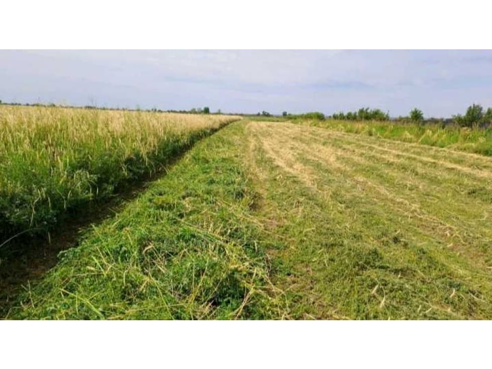 VENTA DE FINCA 36 HAS CALLE LA FLORIDA, EL MIRADOR , RIVADAVIA - 1