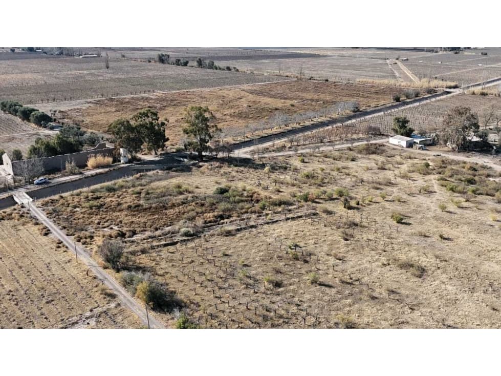 VENTA DE FINCA 60 HAS EN CALLE LA PRIMAVERA, RIVADAVIA- MENDOZA - 1