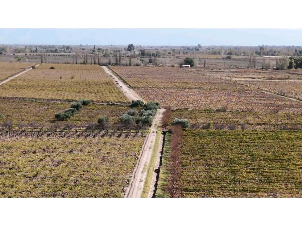 VENTA DE FINCA 63 HAS - EL ESPINO, SAN MARTIN , MENDOZA - 1