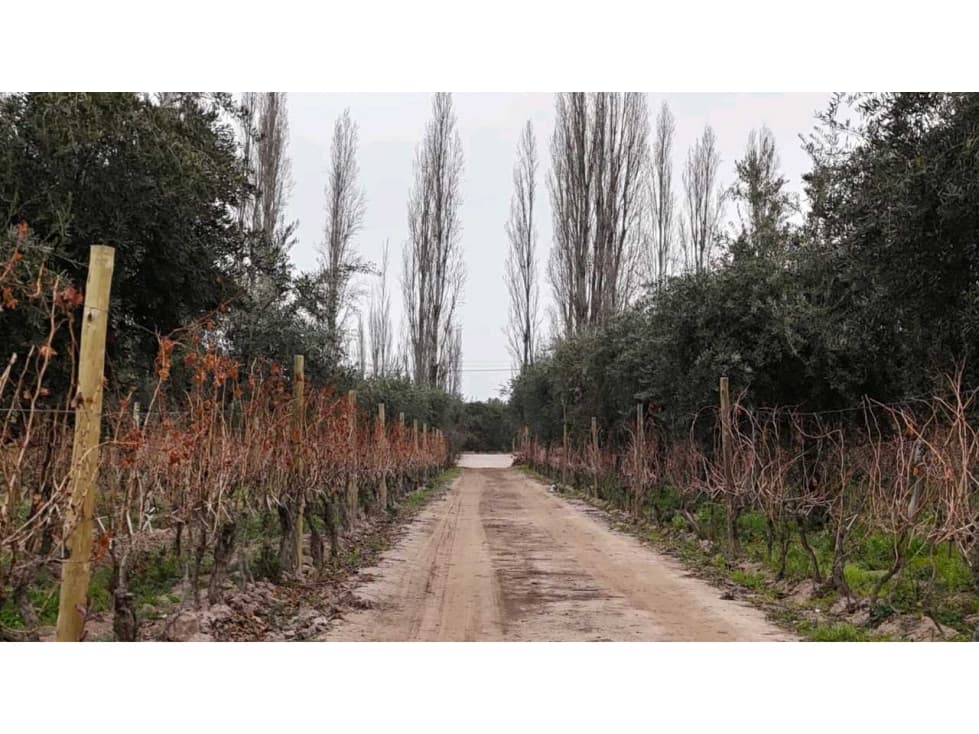 VENTA DE FINCA DE 3,3 HAS CON POTENCIAL EN LULUNTA MAIPÚ - 1