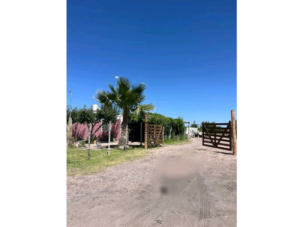 VENTA DE FINCA PRODUCTIVA Y COMPLETA 10 HAS EN PHILLIP, JUNIN, MENDOZA - 1