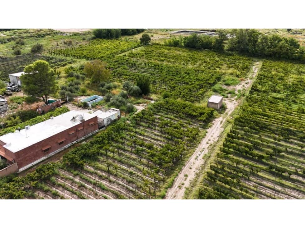 VENTA DE FINCA 4.7 HAS EN CALLEJON TORO- LA LIBERTAD , RIVADAVIA - 1