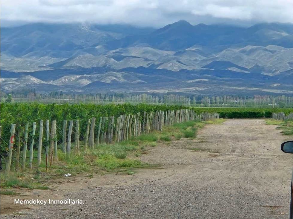 VENTA DE FINCA ÚNICA DE 275 HAS - EN TUNUYAN, MENDOZA. - 1