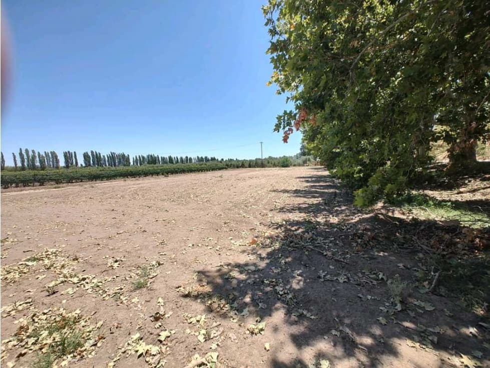 VENTA DE LOTES SOBRE CALLE MARTINEZ- JUNIN, MZA. - 1