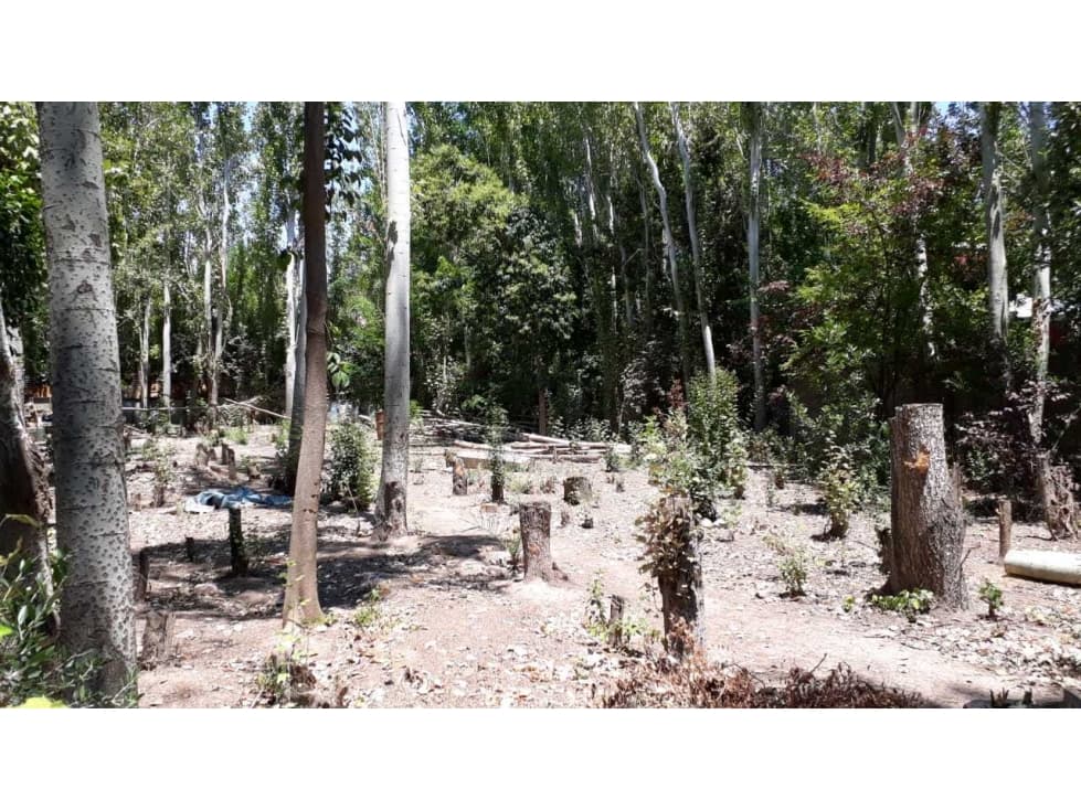 VENTA DE TERRENO EN CALLE LARREA- CHACRAS DE CORIA, LUJÁN, MZA - 1