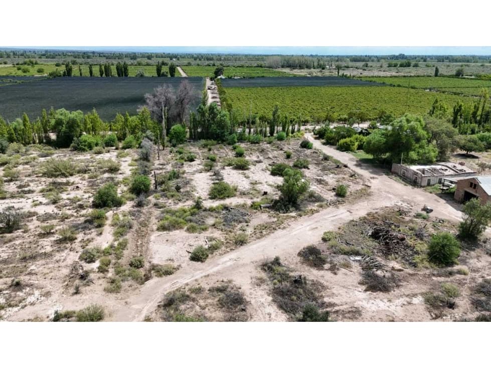 VENTA EXCEPCIONAL FINCA DE 231 HAS EN LOS CAMPAMENTOS- RIVADAVIA, MZA - 1