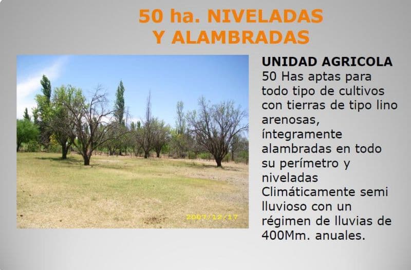 Ruta 151 00 - Cristina Luluaga Propiedades - 1