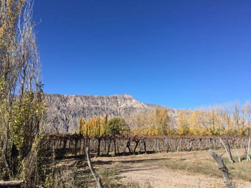 Ruta 12 o Ig de La Roza - Cristina Luluaga Propiedades - 1