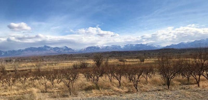 Ruta 149 - Calingasta - Hilario - Cristina Luluaga Propiedades - 1