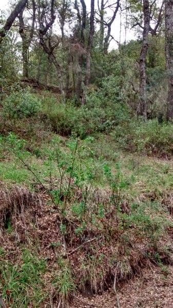 Paseo del Pionero s/n - Lugar Andino Propiedades - 1