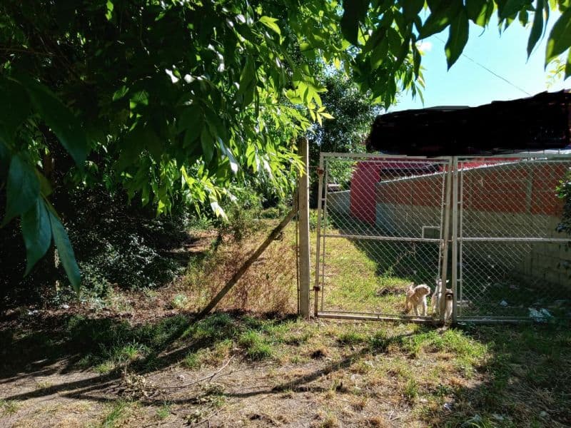 168 e/521 y 522 - Predovan Propiedades - 1